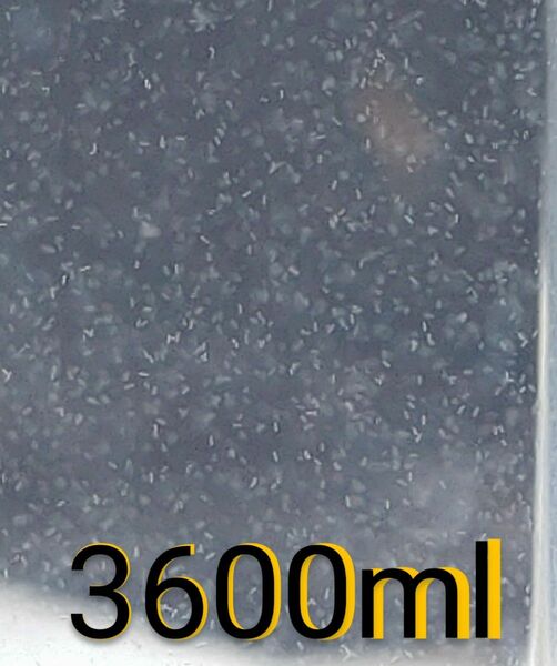 激安！　ゾウリムシ　3600ml　（900ml×4本）　。魚の餌。 グリーンウォーター 生クロレラ　ミジンコ めだか エサ