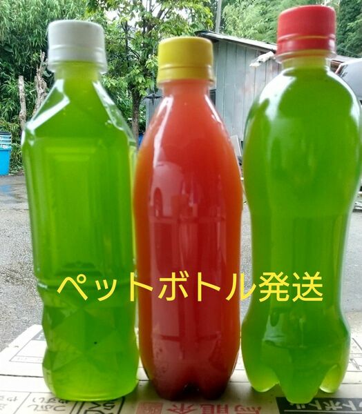 天然　グリーンウォーター(青水.種水)1000ml&　PSB(光合成細菌)500ml　金魚　らんちゅう　メダカ