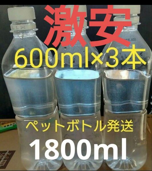 ゾウリムシ　1800ml　（600ml×3本）　。魚の餌。 グリーンウォーター 生クロレラ　ミジンコ