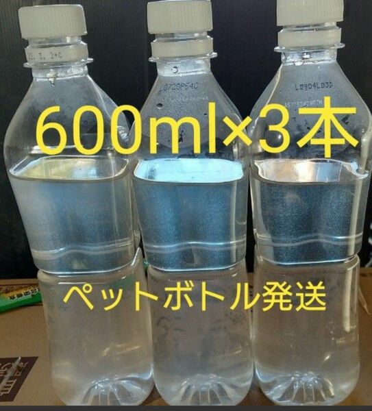 ゾウリムシ　1800ml　（600ml×3本）　。魚の餌。 グリーンウォーター 生クロレラ　ミジンコ