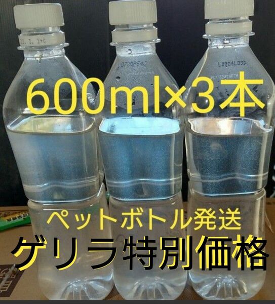 ゲリラ特別価格！激安！ゾウリムシ種水 1800ml　　メダカ　グリーンウォーター