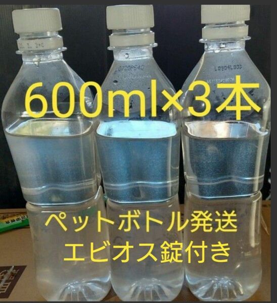 激安　ゾウリムシ　1800ml(600ml×3本)　とエビオス30錠。魚の餌。 グリーンウォーター 生クロレラ