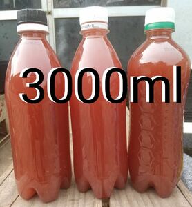 PSB（光合成細菌）3000ml バクテリア メダカ らんちゅう金魚 熱帯魚 グッピーにミジンコ　ゾウリム培養　めだか 