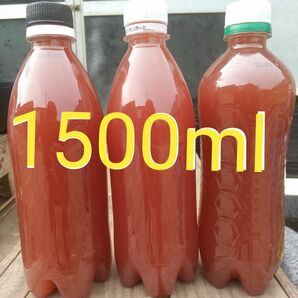 PSB（光合成細菌）1500ml バクテリア メダカ らんちゅう金魚 熱帯魚 グッピーにミジンコ　ゾウリム培養　めだか 