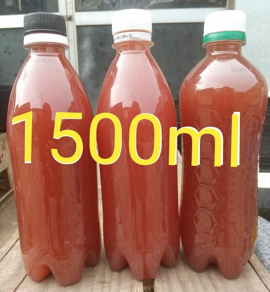 PSB（光合成細菌）1500ml バクテリア メダカ らんちゅう金魚 熱帯魚 グッピーにミジンコ　ゾウリム培養　めだか 