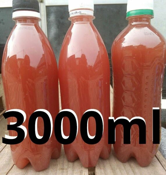 PSB（光合成細菌）3000ml バクテリア メダカ らんちゅう金魚 熱帯魚 グッピーにミジンコ　ゾウリム培養　めだか 