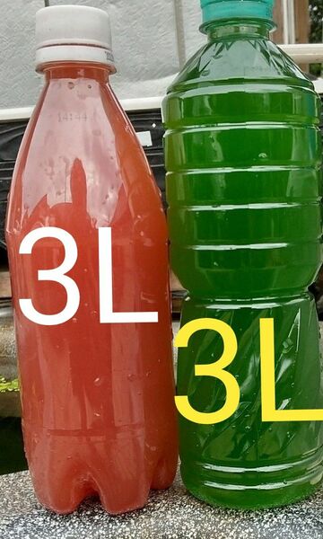 PSB(光合成細)3L&天然　グリーンウォーター(種水．青水)3L。 メダカ 金魚 ゾウリムシ　ミジンコ