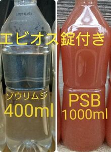 PSB(光合成細菌)1000ml＆ゾウリムシ　400ml　。　メダカ　グリーンウォーター　金魚　ミジンコ