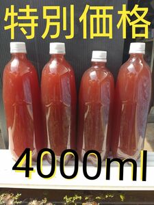 特別価格。激安。濃厚　PSB(光合成細菌)　1L×4本 4L。メダカ　めだか　金魚　グリーンウォーター　ミジンコ　ゾウリムシ