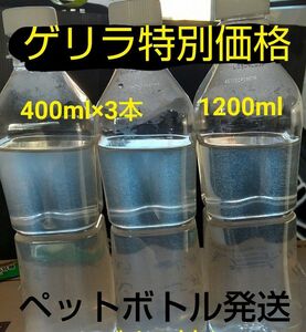 ゲリラ特別価格！　ゾウリムシ　1200ml　　メダカ　めだか　金魚　らんちゅう　ミジンコの餌に…　 グリーンウォーター