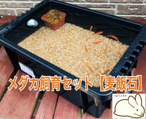 メダカ飼育セット【ケース、麦飯石、赤玉土】