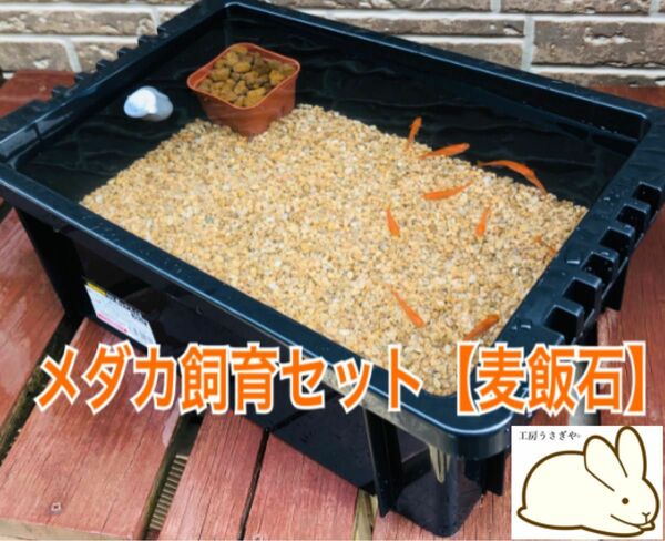 メダカ飼育ケース【麦飯石、赤玉土セット】