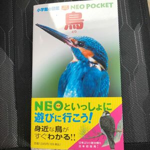 小学館の図鑑　NEO POCKET 鳥