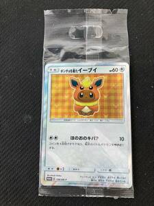 ポケモンカードゲーム ポンチョを着たイーブイ サン＆ムーン ポケモンセンター キャンペーン 139/SM-P 未開封