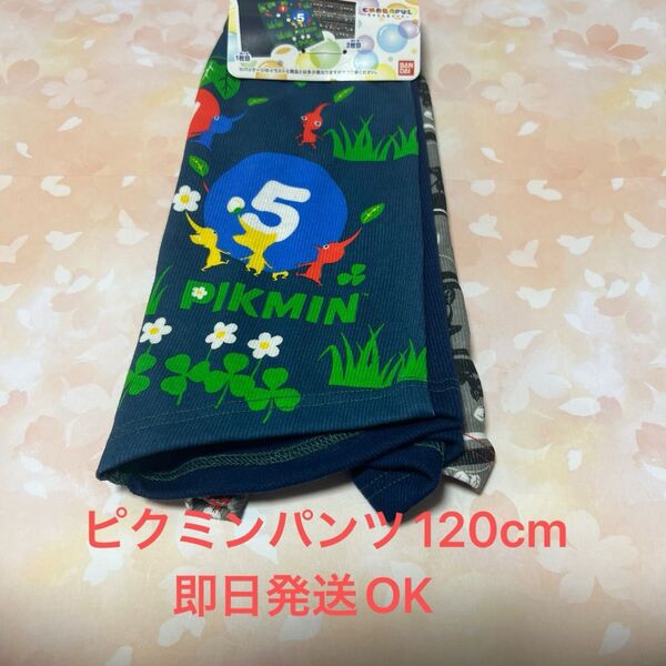 新品ピクミンボクサーパンツ120cm