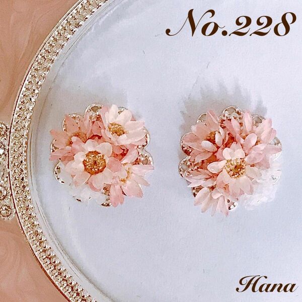 No.228　桜色　本物のお花のピアス　イヤリング