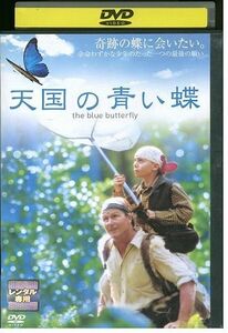 DVD 天国の青い蝶 レンタル落ち LLL03929