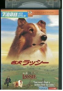 DVD 名犬ラッシー レンタル落ち LLL06402