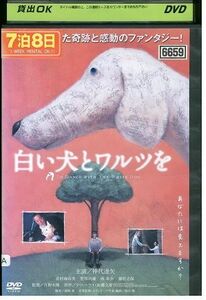 DVD 白い犬とワルツを 仲代達矢 レンタル落ち ZD00308