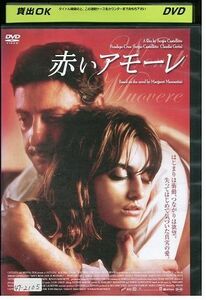 DVD 赤いアモーレ レンタル落ち LLL00034