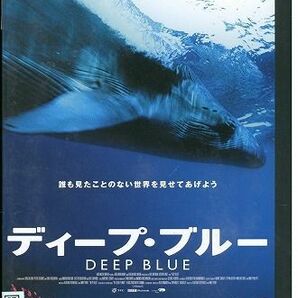 DVD ディープ・ブルー DEEP BLUE レンタル落ち MMM05216の画像1