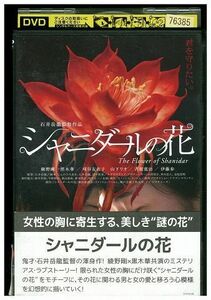 DVD シャニダールの花 綾野剛 黒木華 レンタル落ち ZL01492