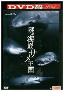 DVD NHKスペシャル 謎の海底サメ王国 レンタル落ち ZM03871