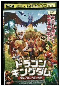 DVD ドラゴンキングダム 魔法の森と水晶の秘密 レンタル落ち ZM00380