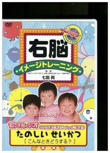 DVD 七田式 右脳イメージトレーニング たのしいせいかつ こんなときどうする? レンタル落ち ZMM420