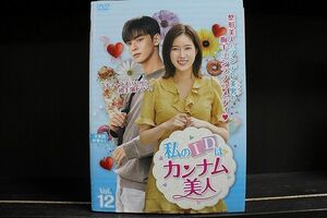 DVD 私のIDはカンナム美人 全12巻 ※ケース無し発送 レンタル落ち Z3C1929b