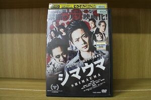 DVD シマウマ SHIMAUMA ※ケース無し発送 レンタル落ち ZAA410