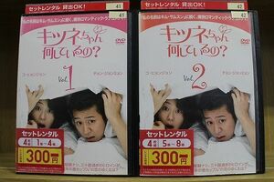 DVD キツネちゃん何しているの? 全8巻 ※ジャケット欠品 ディスクのみ ※ケース無し発送 レンタル落ち ZII462