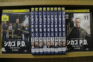 DVD シカゴP.D. シーズン5 全11巻 ※ケース無し発送 レンタル落ち ZKK2156