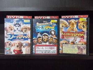 DVD スノー・バディーズ スペース・バディーズ トレジャー・バディーズ 計3本set ※ケース無し発送 レンタル落ち Z4T1491