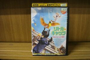 DVD リトル・キャッツ 空飛ぶねこの大冒険 レンタル落ち ZL00055