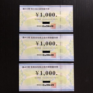 ★ビックカメラ 株主優待券（株主様お買物優待券）3000円分（1000円×3枚）★2024年5月31日まで★