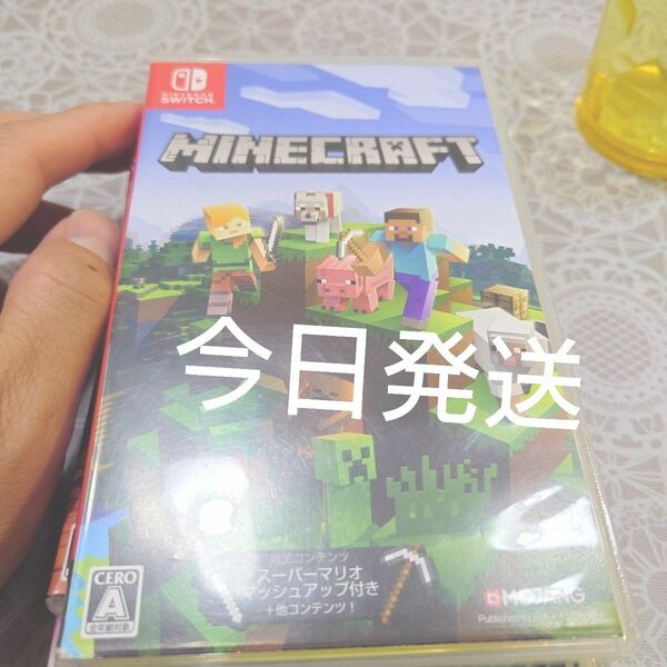 マインクラフト Minecraft Nintendo Switch