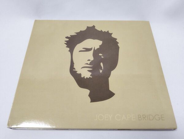 【CD】Joey Cape　- Bridge