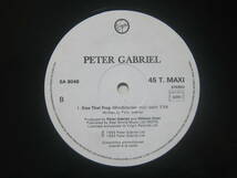 [即決][12インチ][仏プロモ盤]■Peter Gabriel - Kiss That Frog (1993/Virgin/SA8048)■ピーター・ガブリエル■US■[FRANCE PROMO]_画像7