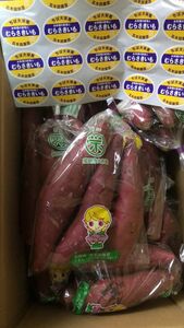 597.成田市大栄産　紫芋 むらさきいも　箱込み5kg