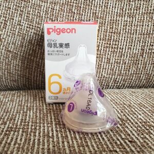 ピジョン Pigeon 母乳実感 哺乳瓶用 乳首 Lサイズ 1つ