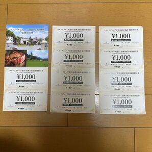 ベルーナグループ運営(提携)施設　施設割引券1000円×10枚 