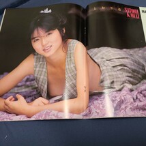 ビデオボーイ　No48 4月号_画像4