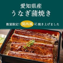 やっぱり 国産 うなぎ 蒲焼◇愛知県産 地焼きうなぎ 鰻蒲焼◇(1尾あたり:117～132ｇ)X8尾 真空冷凍パック 送料無料:一部地域対象外_画像1