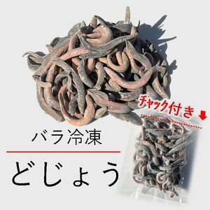 真空 バラ冷凍どじょう 450g『凍眠』(小サイズ) 冷凍えさ バラ ドジョウ 古代魚 熱帯魚の餌 バラ冷凍 どじょう ※エサ用 冷凍ドジョウ