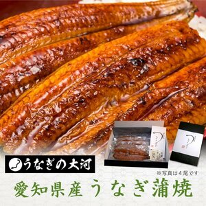 * with translation Aichi prefecture production *.....(117g~132g)x8 tail : freezing vacuum pack eel .. eel domestic production free shipping : one part region object out 