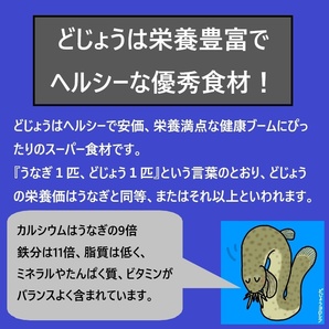 ◇【活どじょう】小小1kｇ(約7cm・平均550匹)泥鰌・食用・活き餌・釣り餌・生餌・熱帯魚・古代魚のエサにはドジョウ☆えさ・川魚・淡水魚の画像5