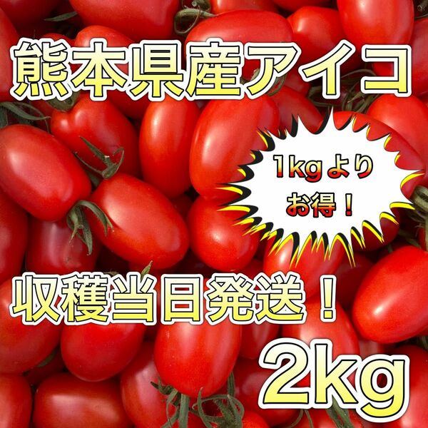 熊本県産ミニトマト アイコ 2kg