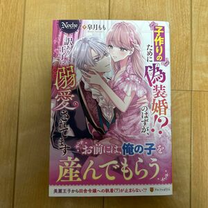 子作りのために偽装婚！？のはずが、訳あり王子に溺愛されてます （Ｎｏｃｈｅ） 皐月もも／著