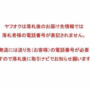 ★二重煙突★スーパー丸トップ / 防鳥対策 / １５０ミリ対応. 薪ストーブの画像5